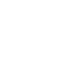 Background Verification